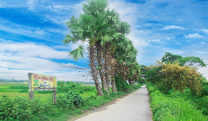 30, 40 Road Adjacent Plots