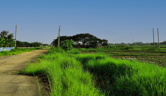 পূর্বাচল প্রকল্পের লক্ষ্য