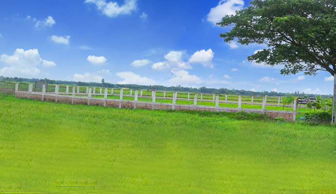 Land for Office Near Purbachal, Dhaka