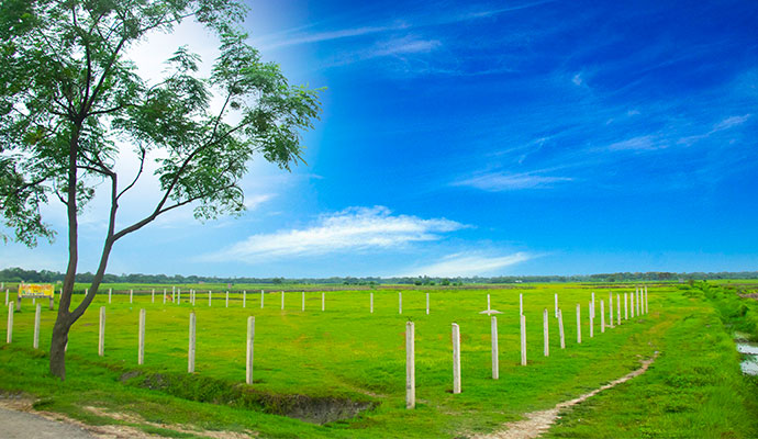 Purbachal Road Adjacent Plots