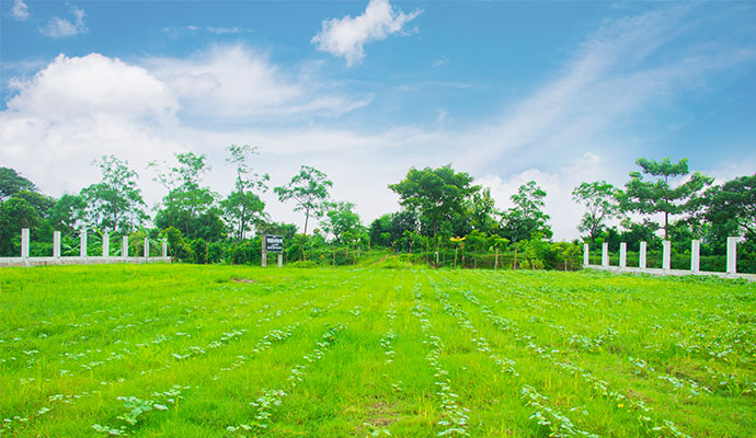 South Facing Plots Adjacent to 30', 40' Road